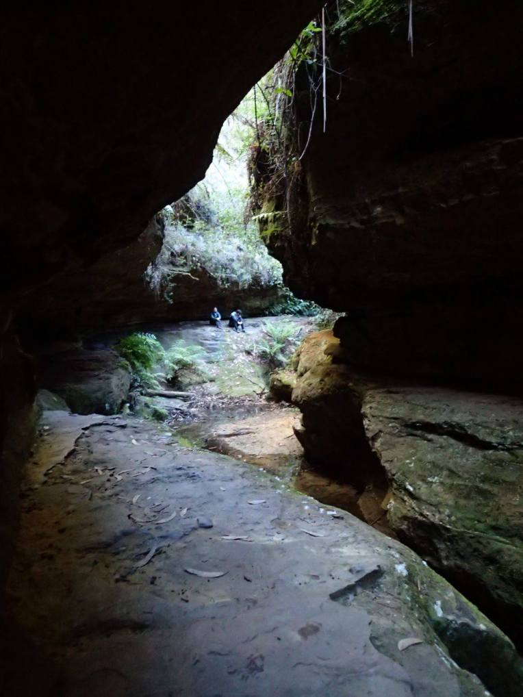 13305032_10153495185266160_5898399636052490759_o