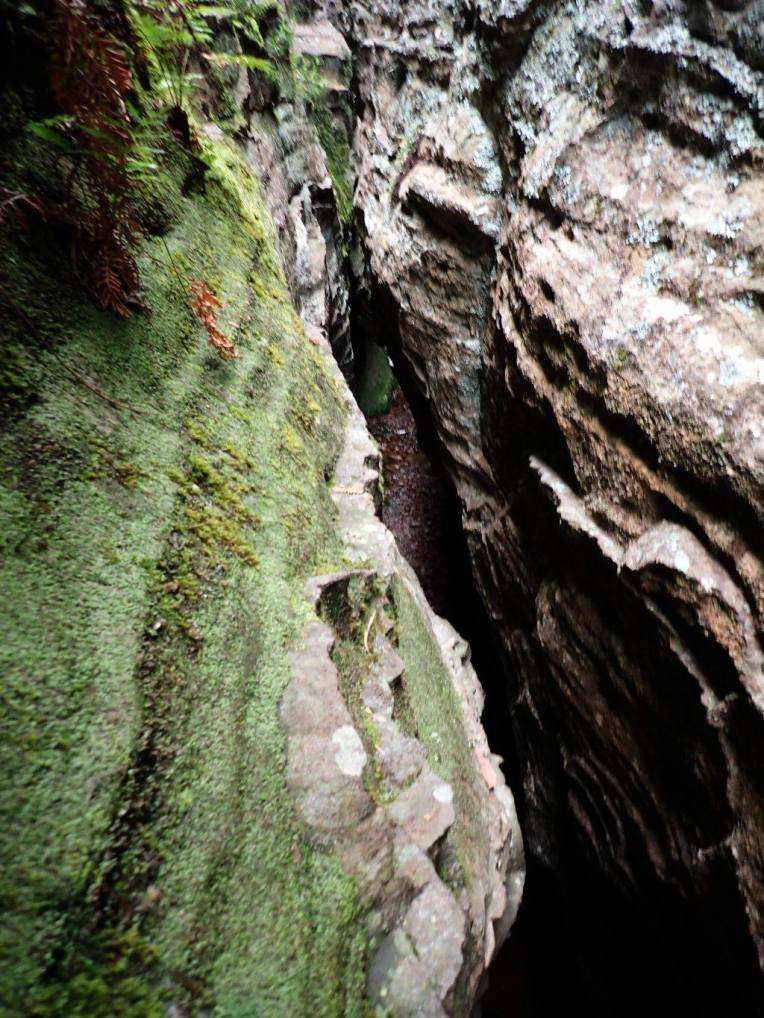 13422234_10153553812446160_9156412296194088408_o