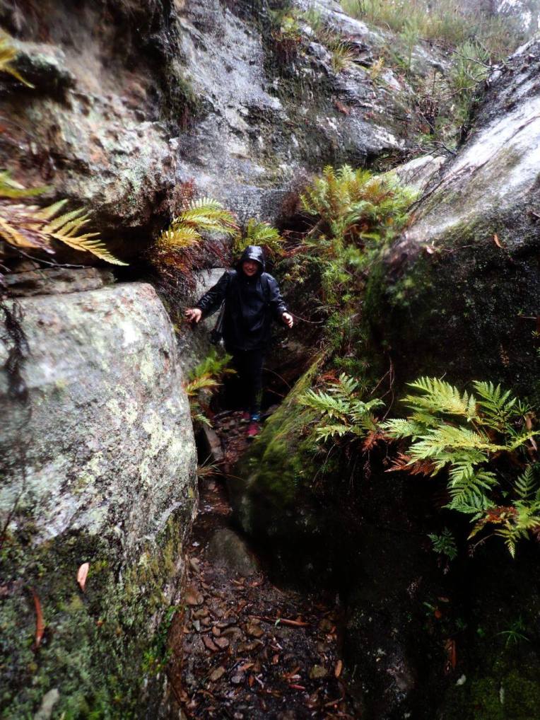 13442457_10153537987626160_635354699196446992_o