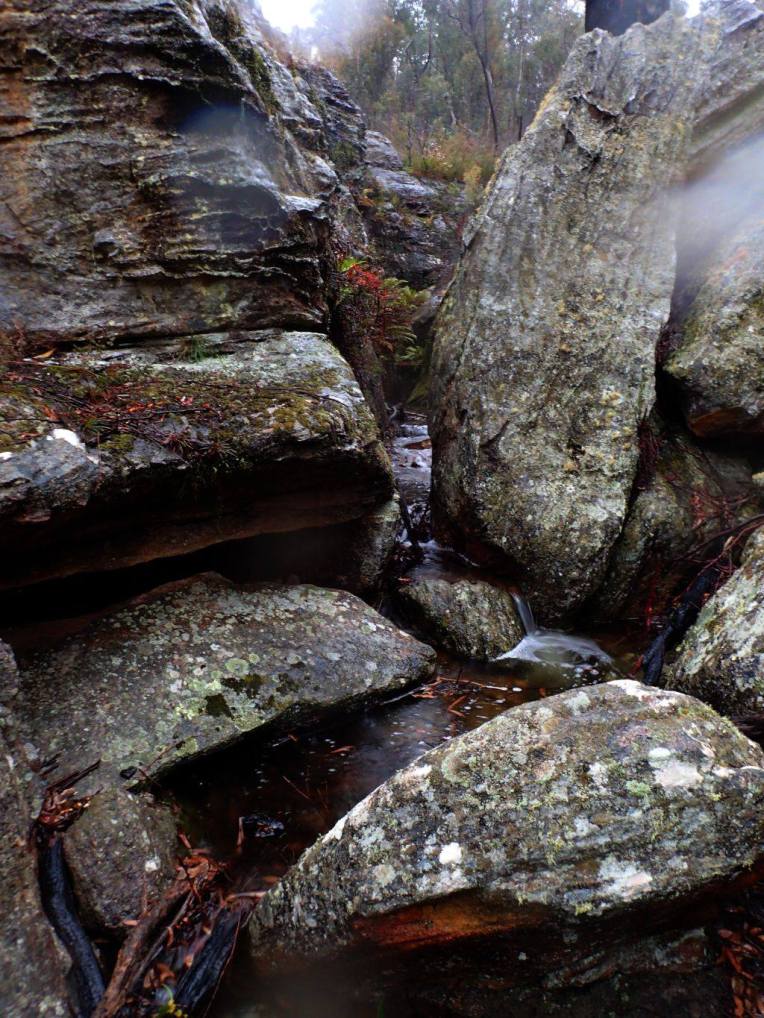 13474953_10153537988161160_8143406452558537526_o