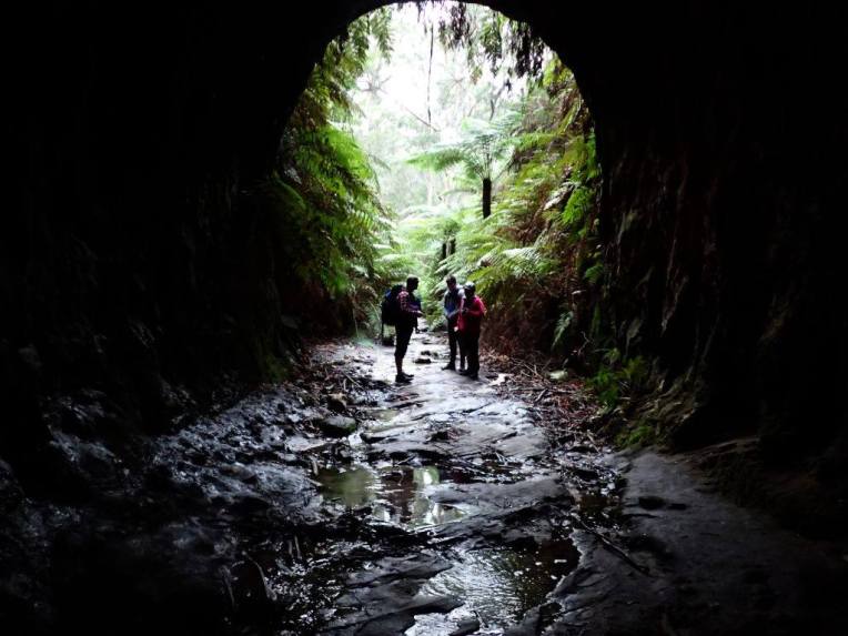 13482951_10153553821191160_6080871352049070889_o