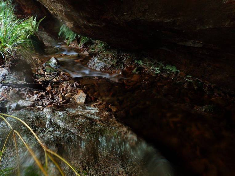 13483346_10153537988111160_4186175309712498798_o