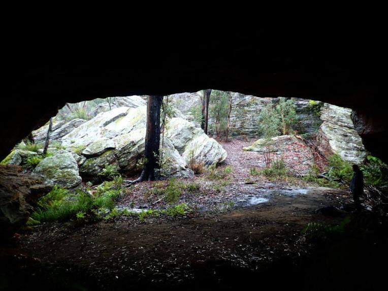 13490601_10153537987751160_872362415350109999_o