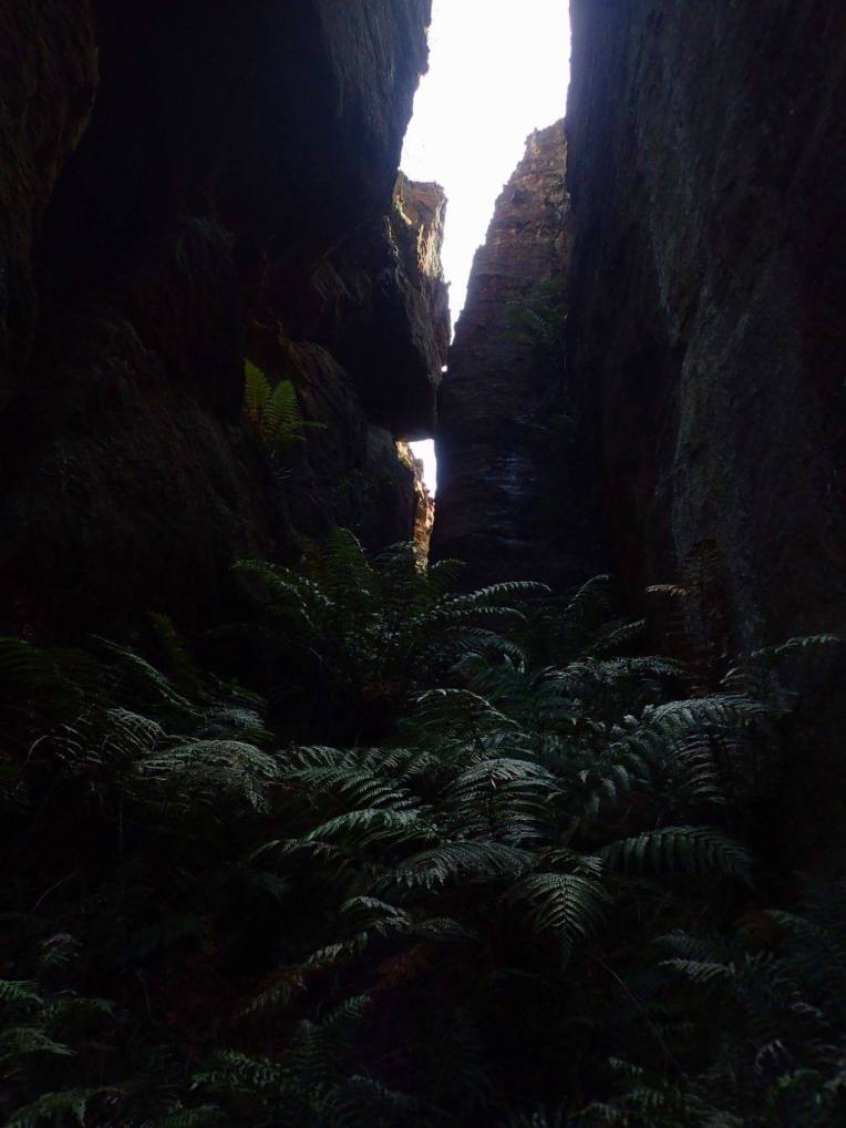 13490710_10153553803456160_4600593424317241043_o