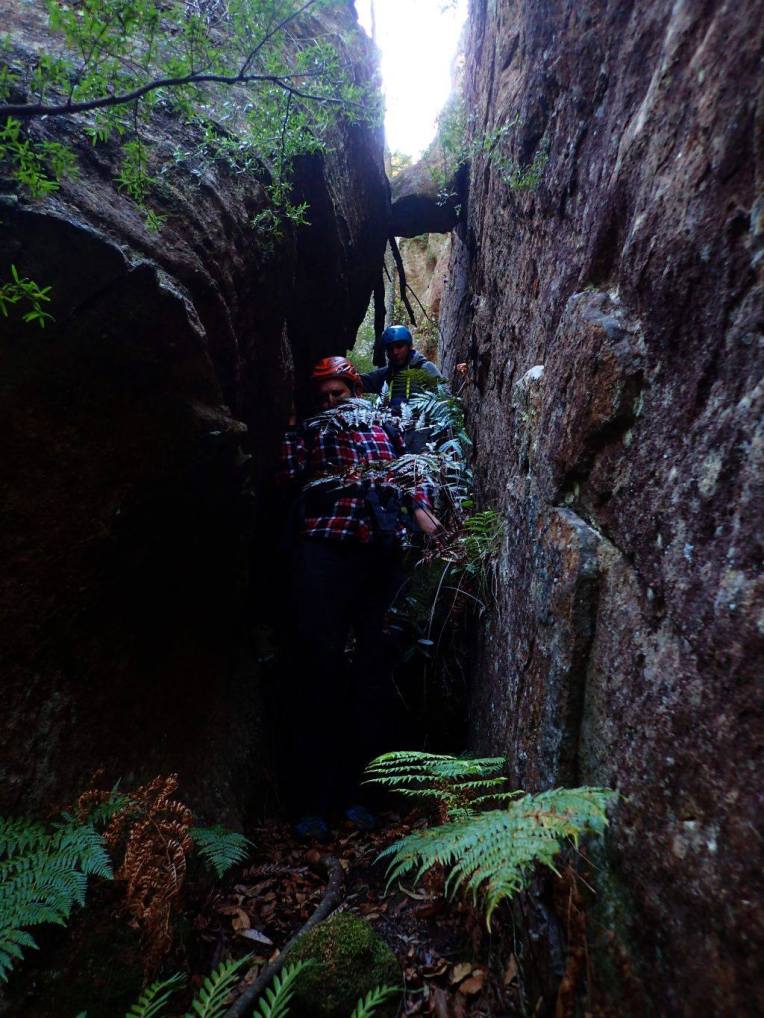 13495653_10153553805826160_6976403166539930799_o