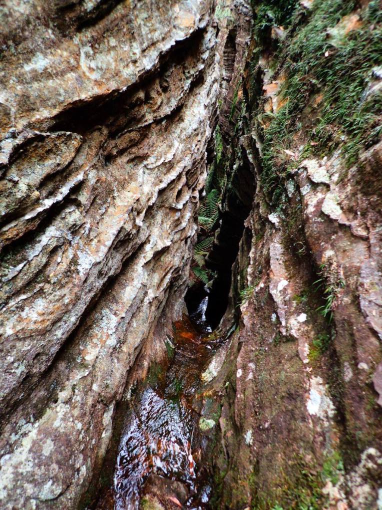 13517673_10153553812316160_1439972183813659949_o