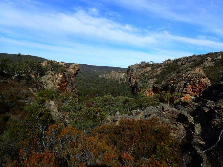 13522901_10153553801951160_7766361975566142061_o