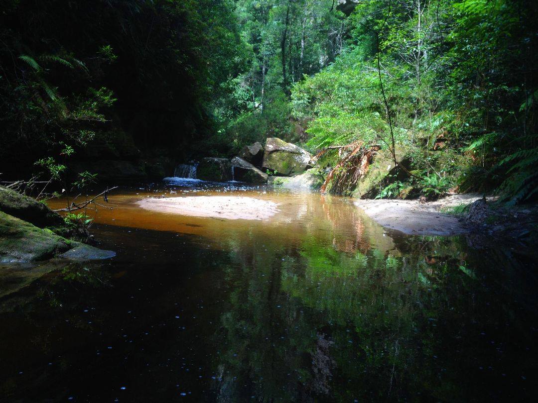 10498249_10152591387436160_6286558864343076391_o