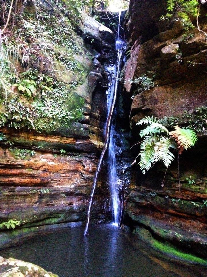 10891553_10152552623781160_1467431782197328573_n