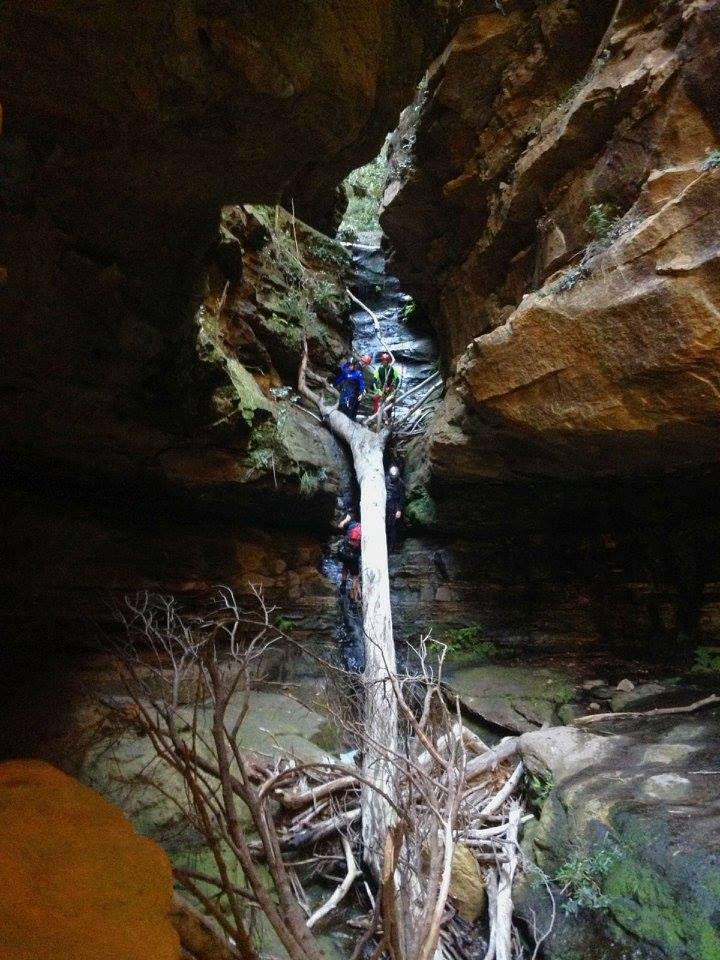 10945592_10152552623891160_280858487758467558_n