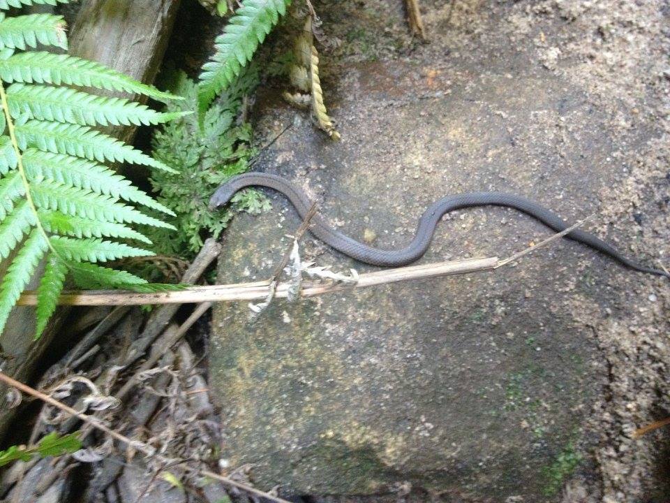 10947290_10152552627016160_6897859936848872733_n