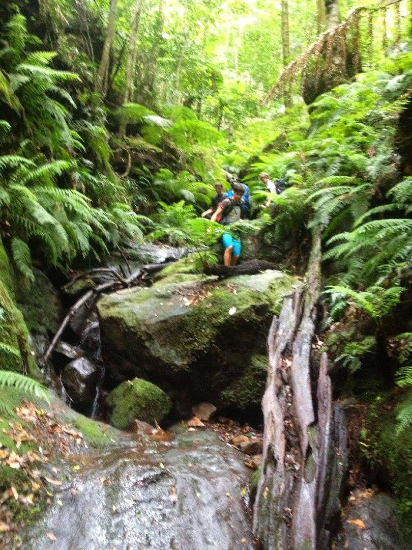 1524434_10152591385131160_8852205788025935212_o