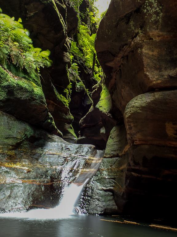 16473043_10154132971971160_7697020294885436794_n