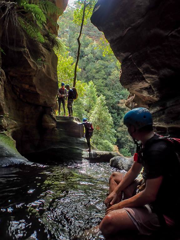 16473640_10154132971796160_6673415946598927782_n