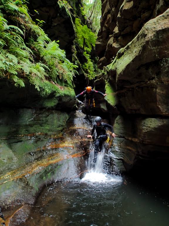 16508251_10154132972111160_1162849178616471188_n