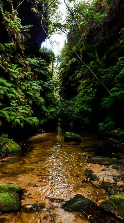 16508646_10154132971021160_6859635601985526302_n