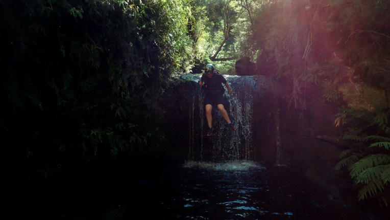 sheep dip again-03-11.jpg