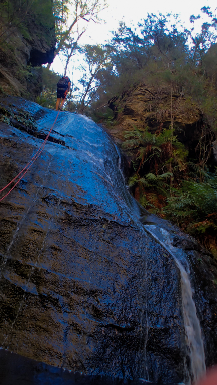 sheep dip again-03-13.jpg