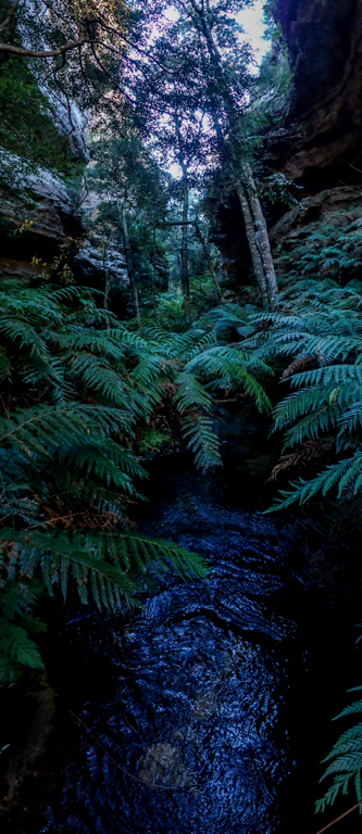 sheep dip again-03-15.jpg