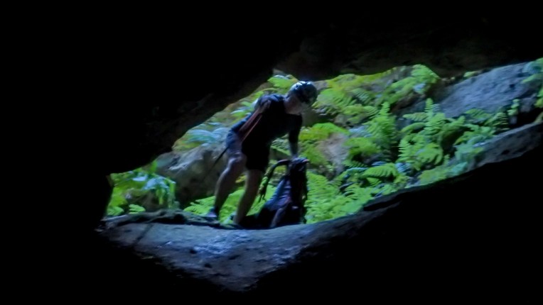 sheep dip again-03-17.jpg