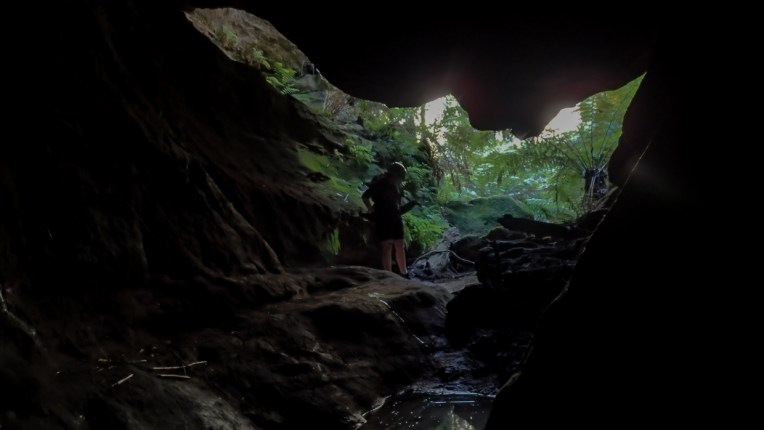 sheep dip again-03-18.jpg