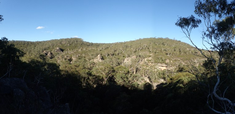 sheep dip again-03-19.jpg