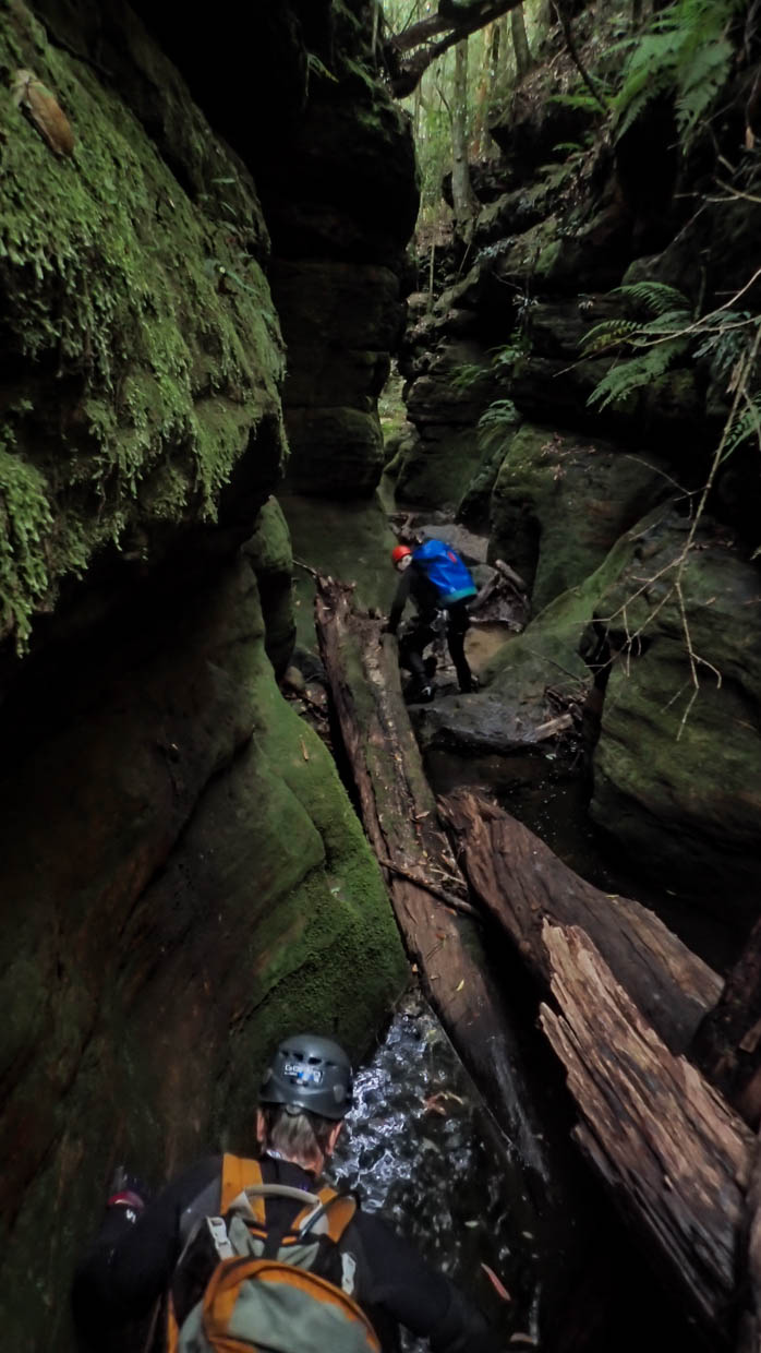 Great Uncle George-41.jpg