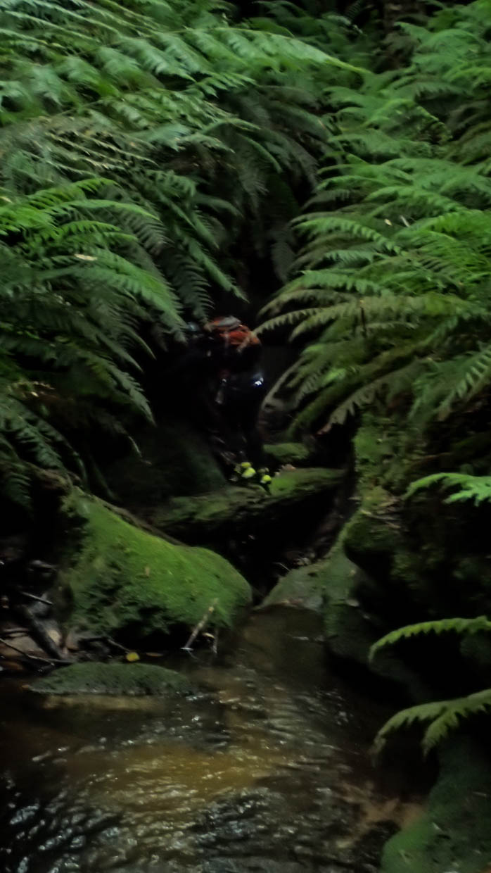 Great Uncle George-54.jpg