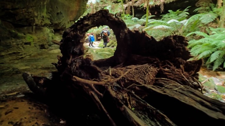 Great Uncle George-70.jpg