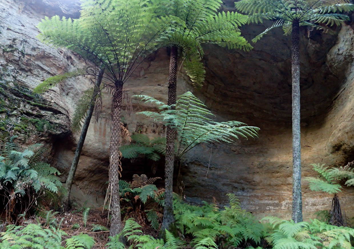 Pleasant view-10.jpg