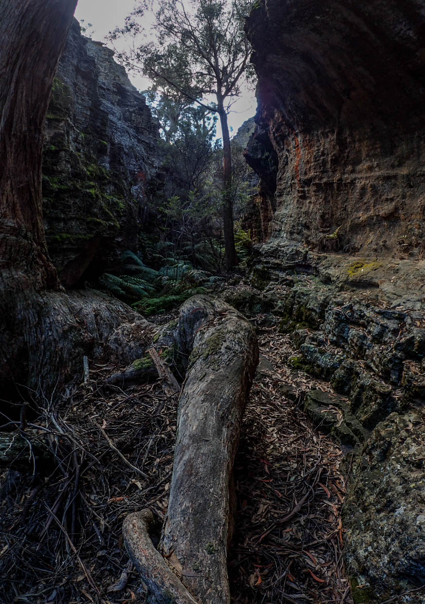 Pleasant view-12.jpg