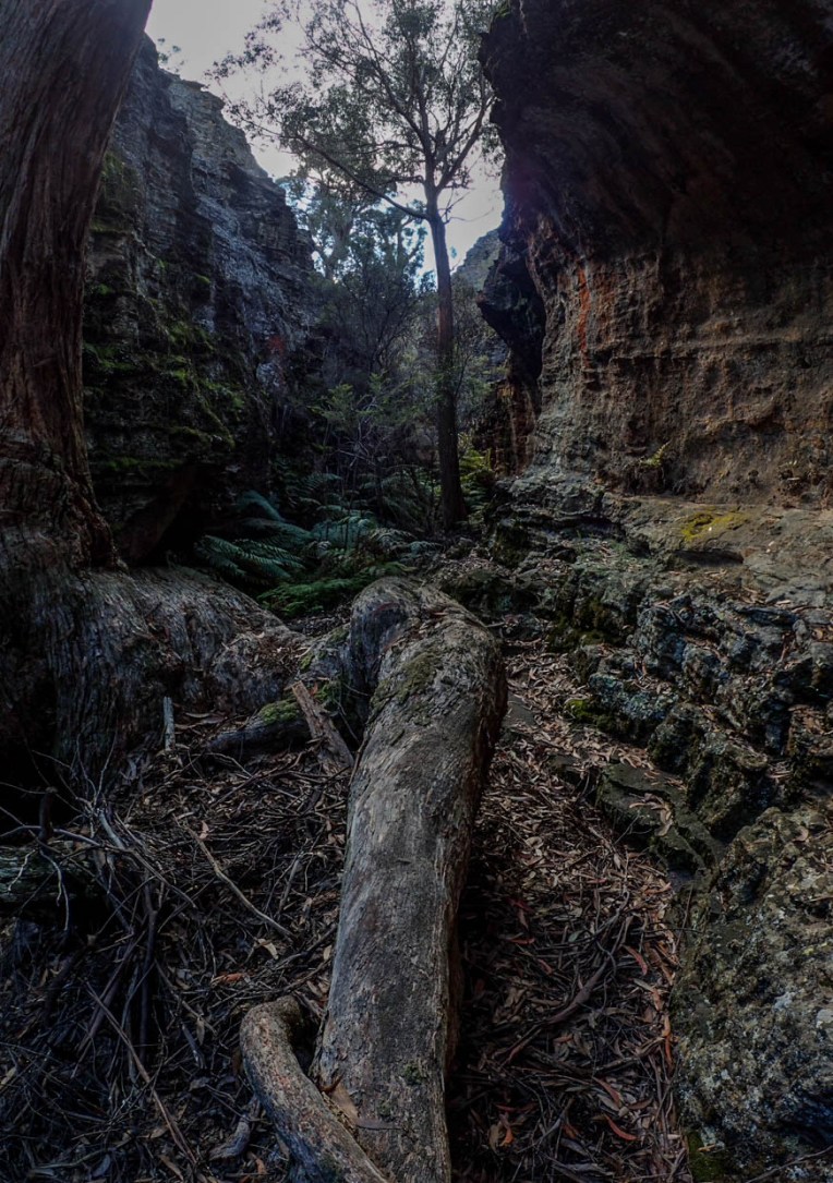 Pleasant view-12.jpg