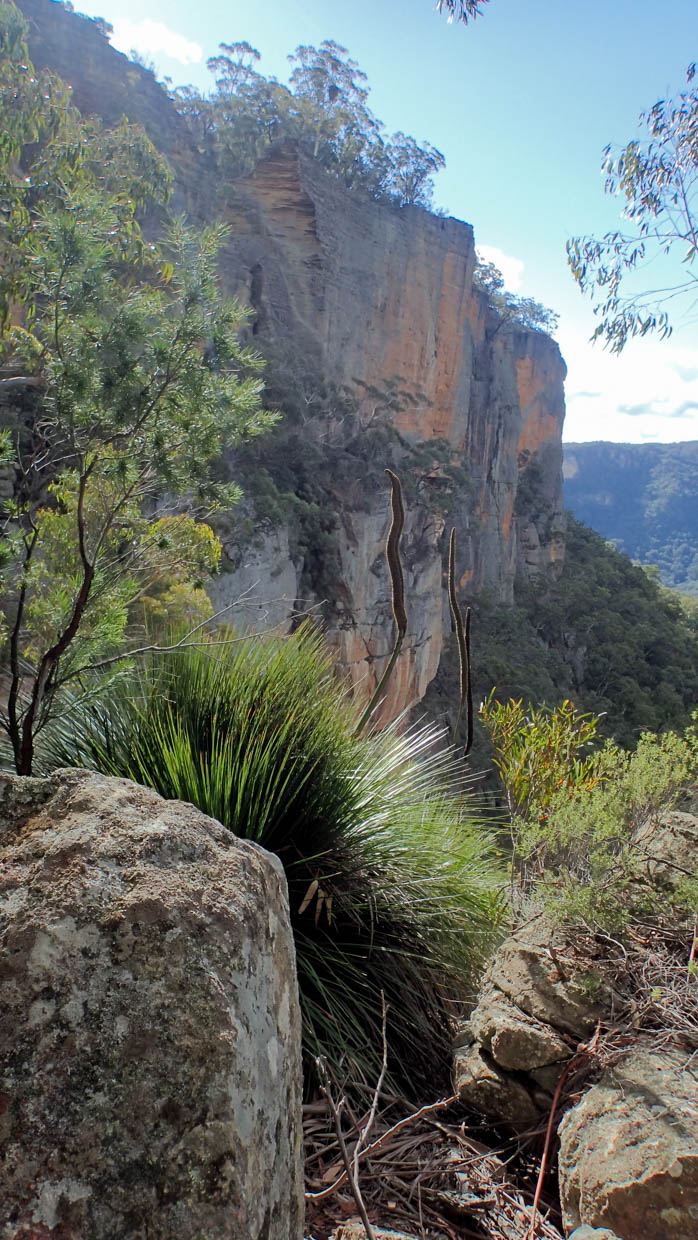 Pleasant view-22.jpg