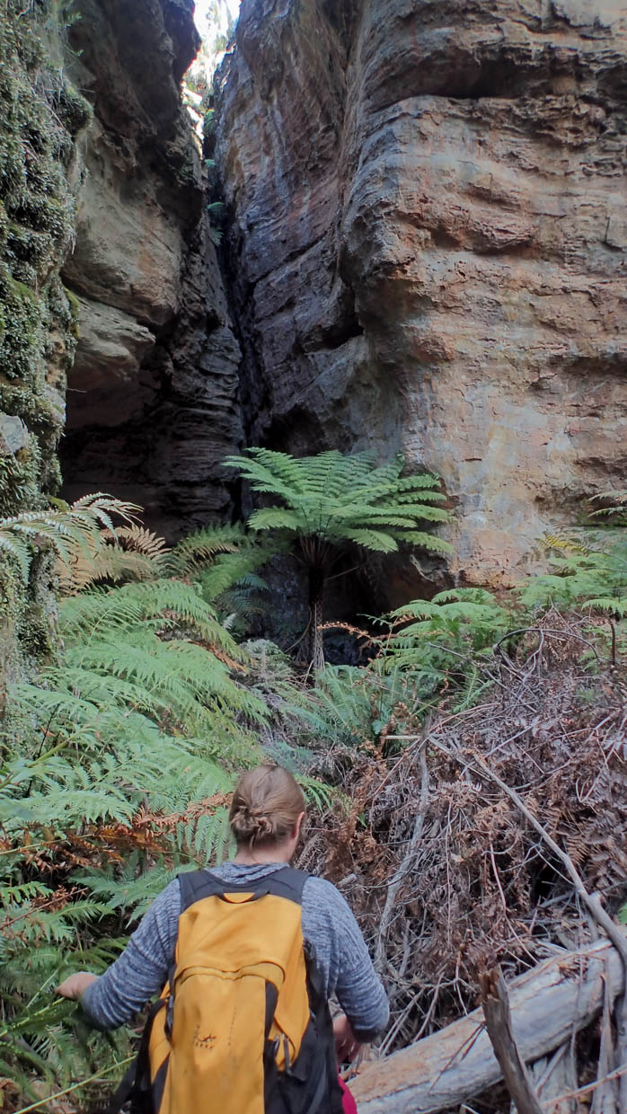 Pleasant view-36.jpg