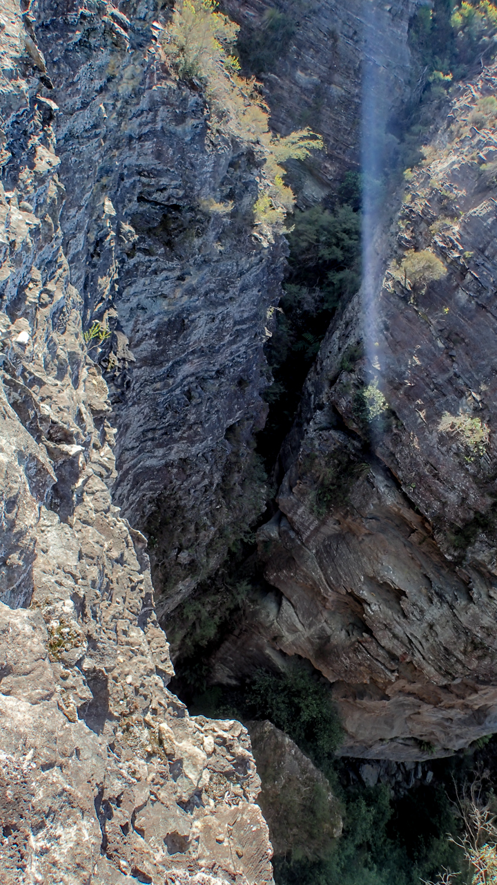 Broadhead (12 of 15).jpg