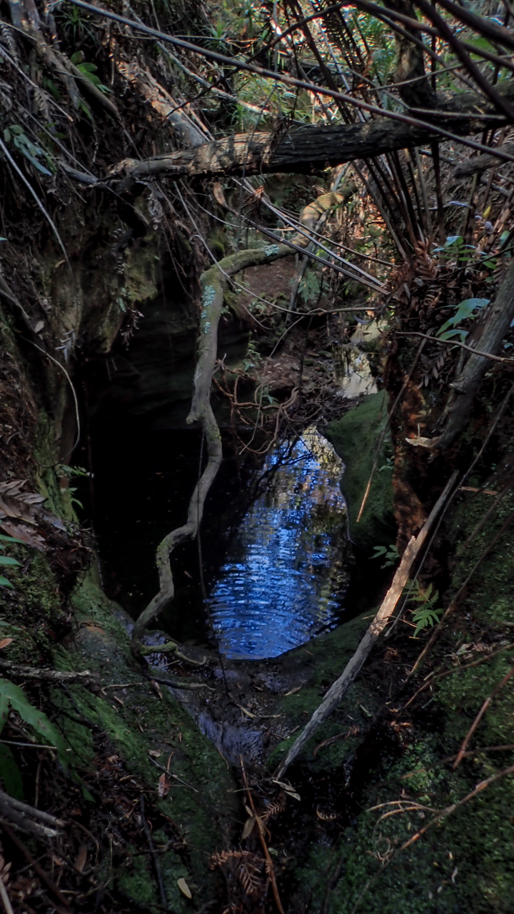 Broadhead (14 of 15).jpg