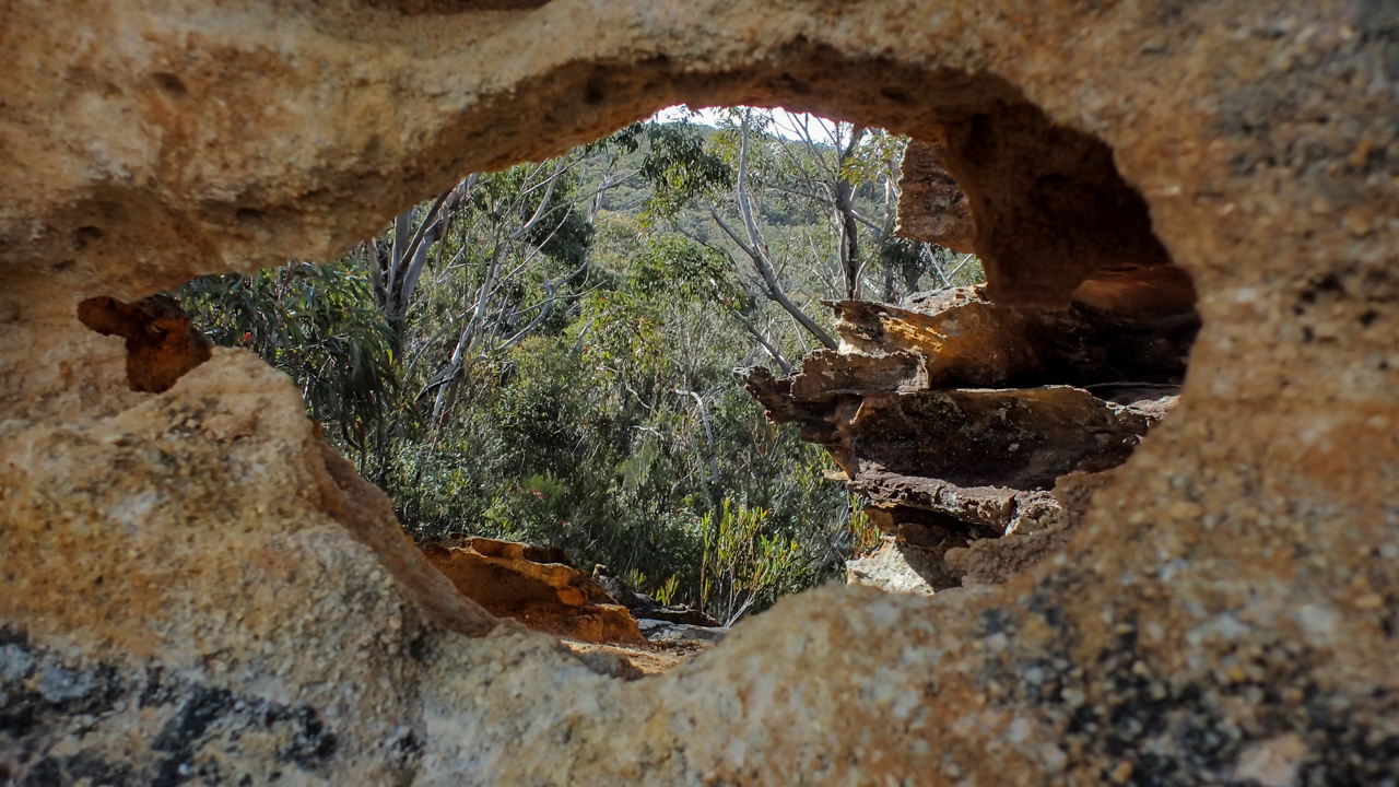 Broadhead (5 of 15).jpg