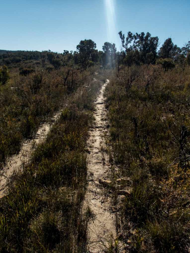 dumbano fire trail-10.jpg