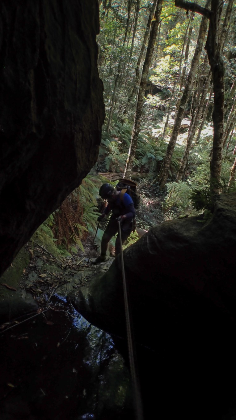 coachwood rocky creek-23.jpg