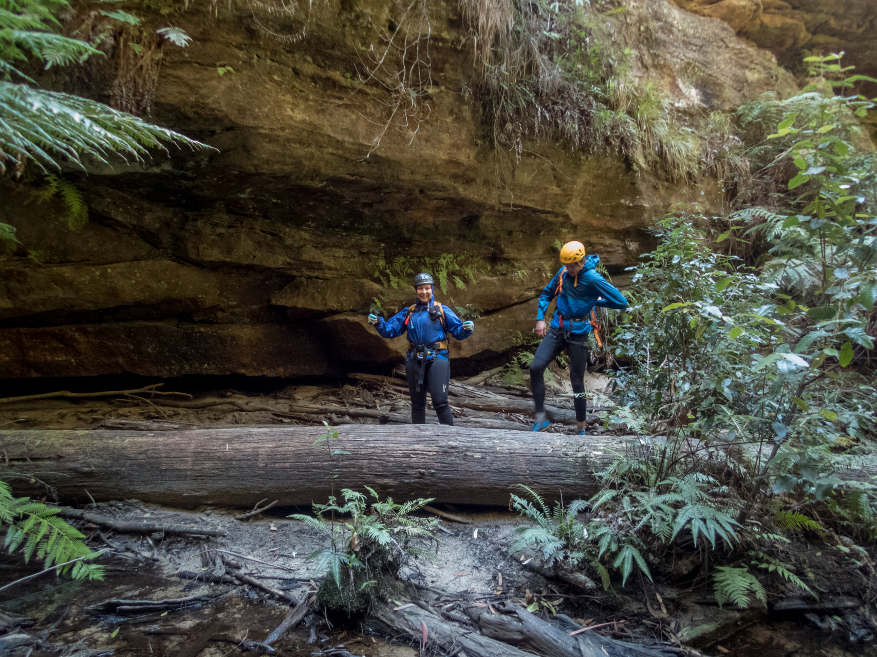 coachwood rocky creek-29.jpg