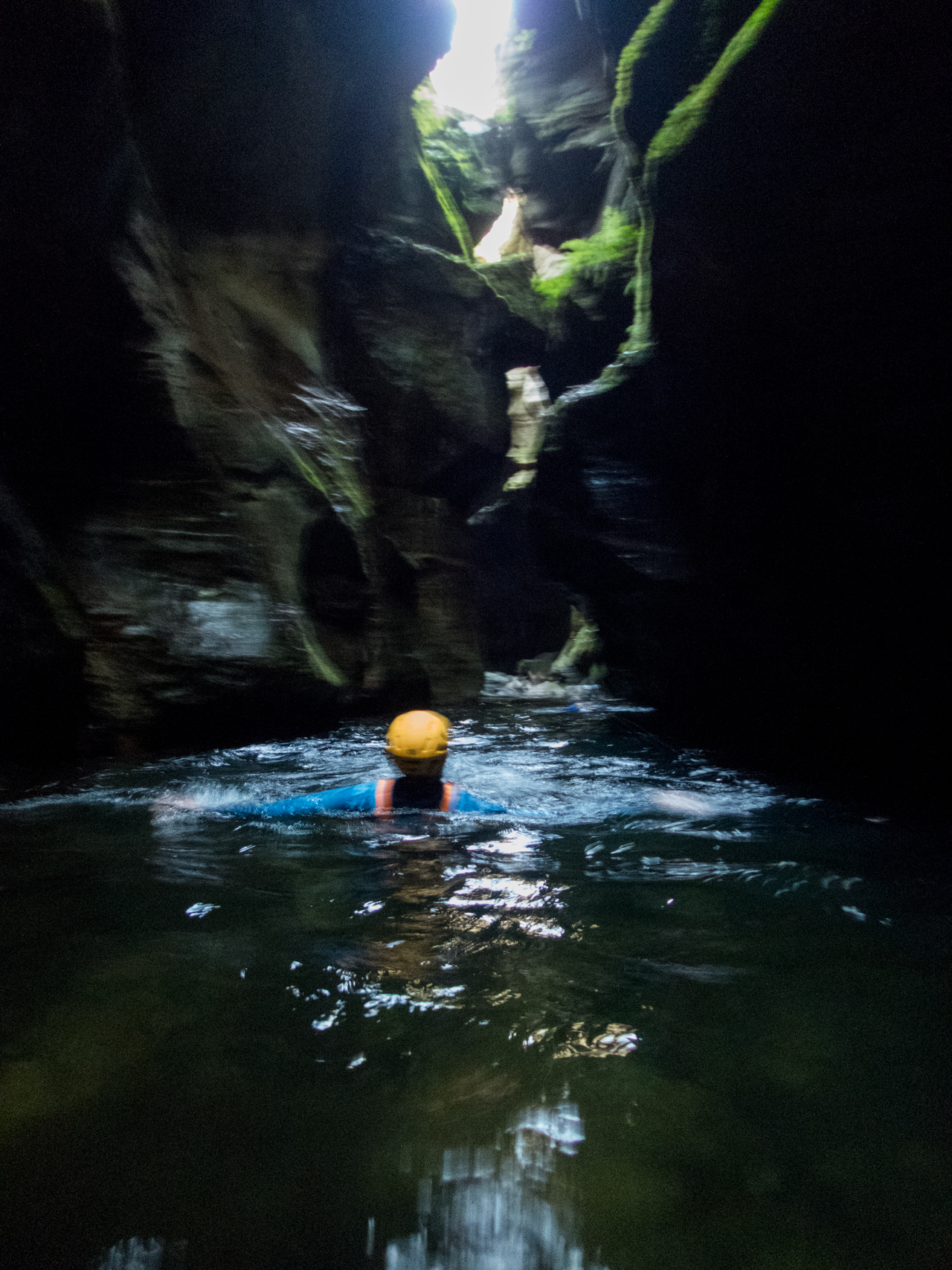 coachwood rocky creek-35.jpg