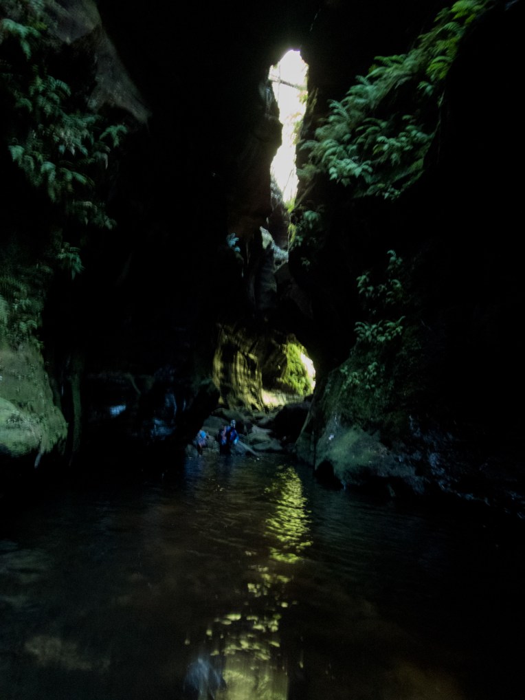 coachwood rocky creek-42.jpg