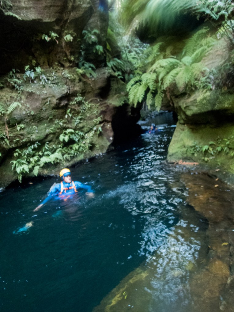 coachwood rocky creek-49.jpg