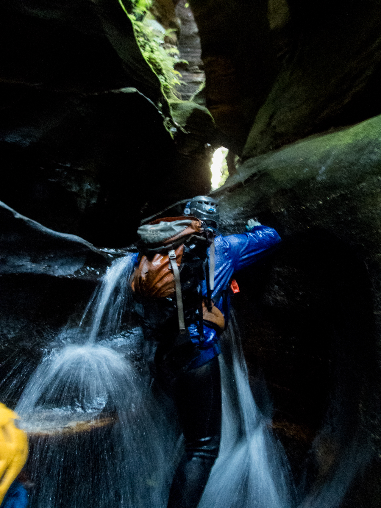 coachwood rocky creek-52.jpg