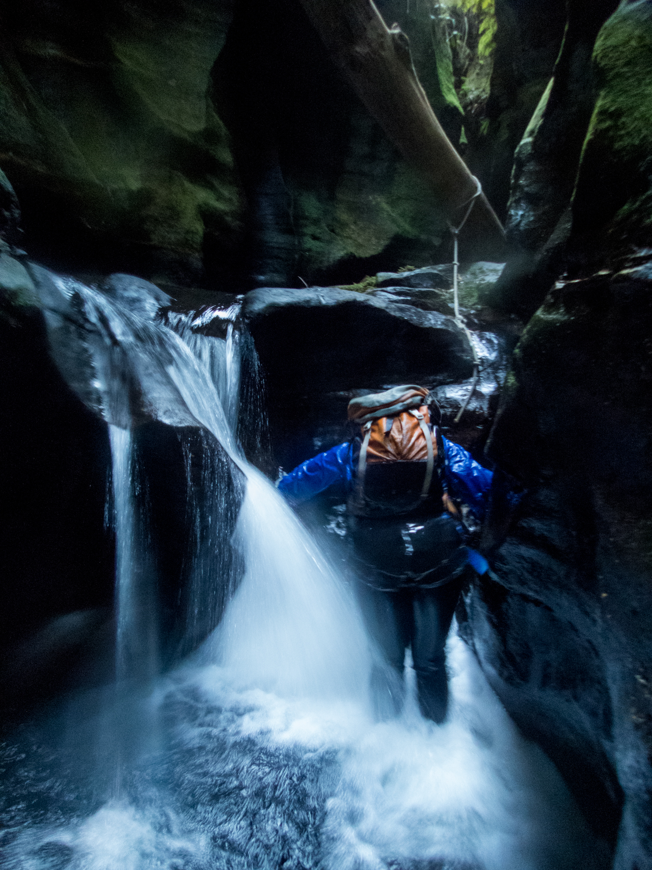 coachwood rocky creek-53.jpg