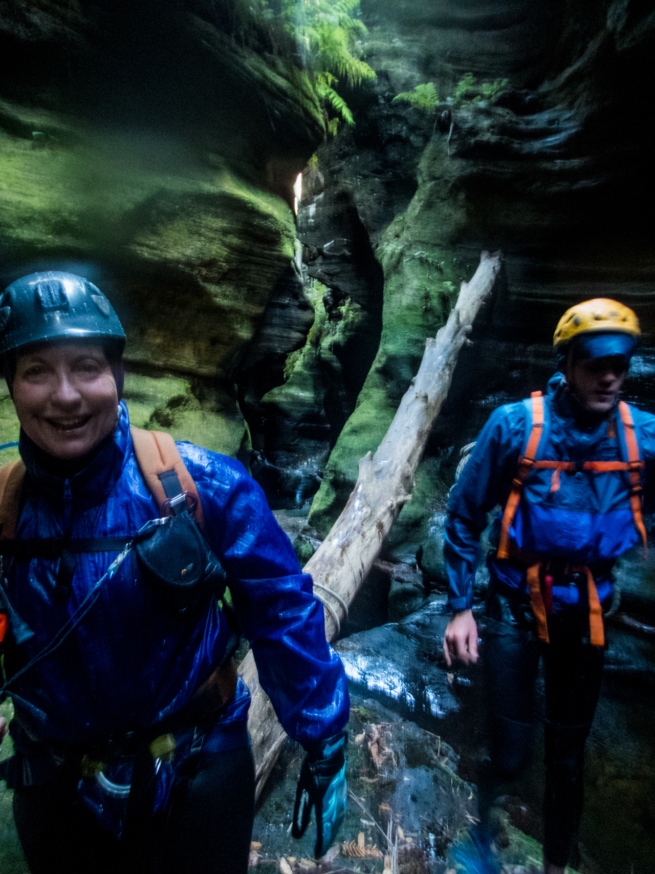 coachwood rocky creek-54.jpg