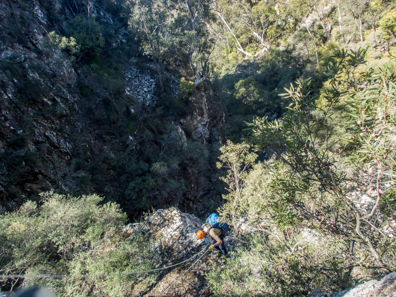 Dione Dell-9020009.jpg