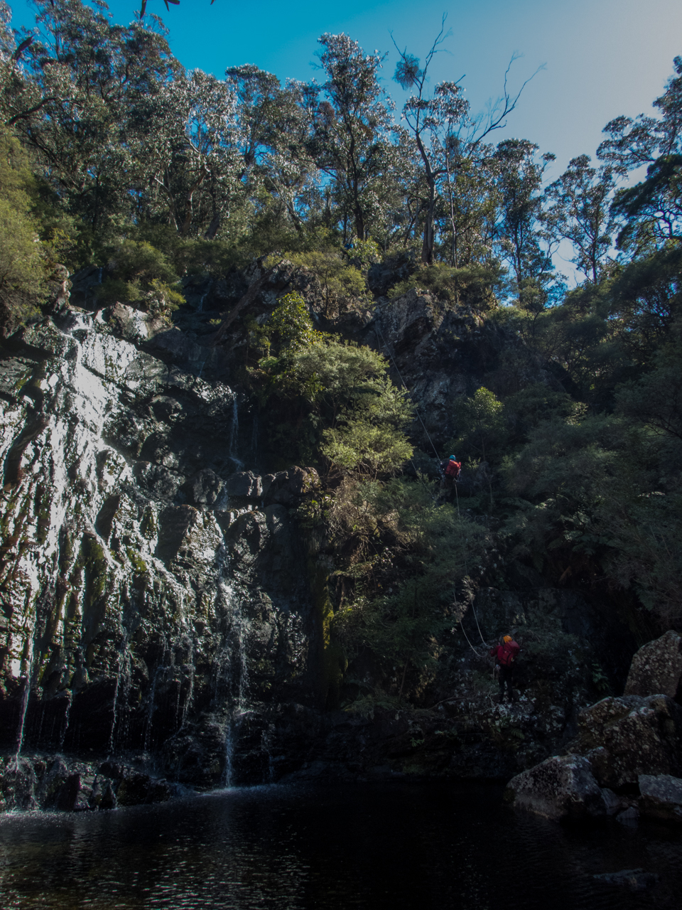 Dione Dell-9020012.jpg