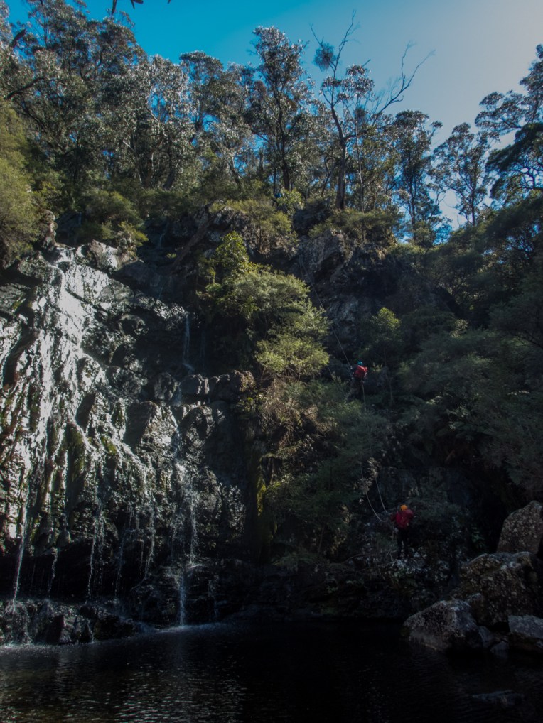 Dione Dell-9020012.jpg