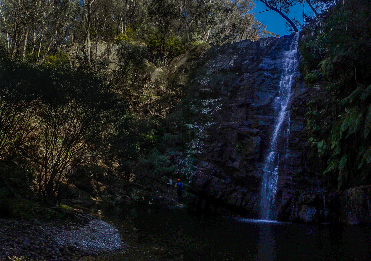 Dione Dell-9020016.jpg